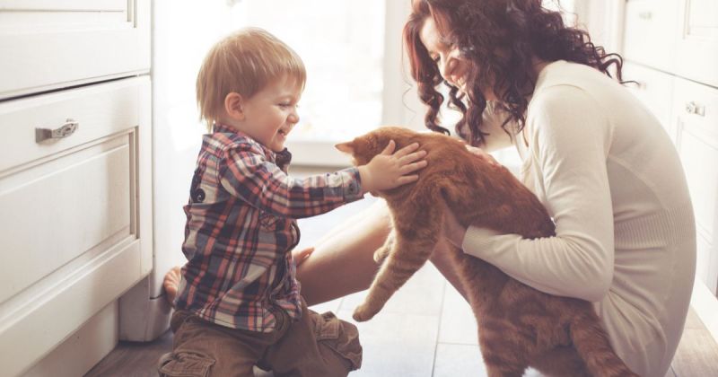 vui đùa cùng thú cưng 